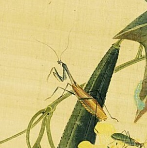 真作保証】勝月 花くらべ 浮世絵 木版画 1888年 Shogetsu