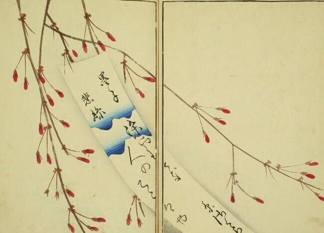 酒井抱一の「綺麗さび」の世界(十七): 新「俳諧と美術」 酒井抱一の「綺麗さび」の世界(十七): 新「俳諧と美術」